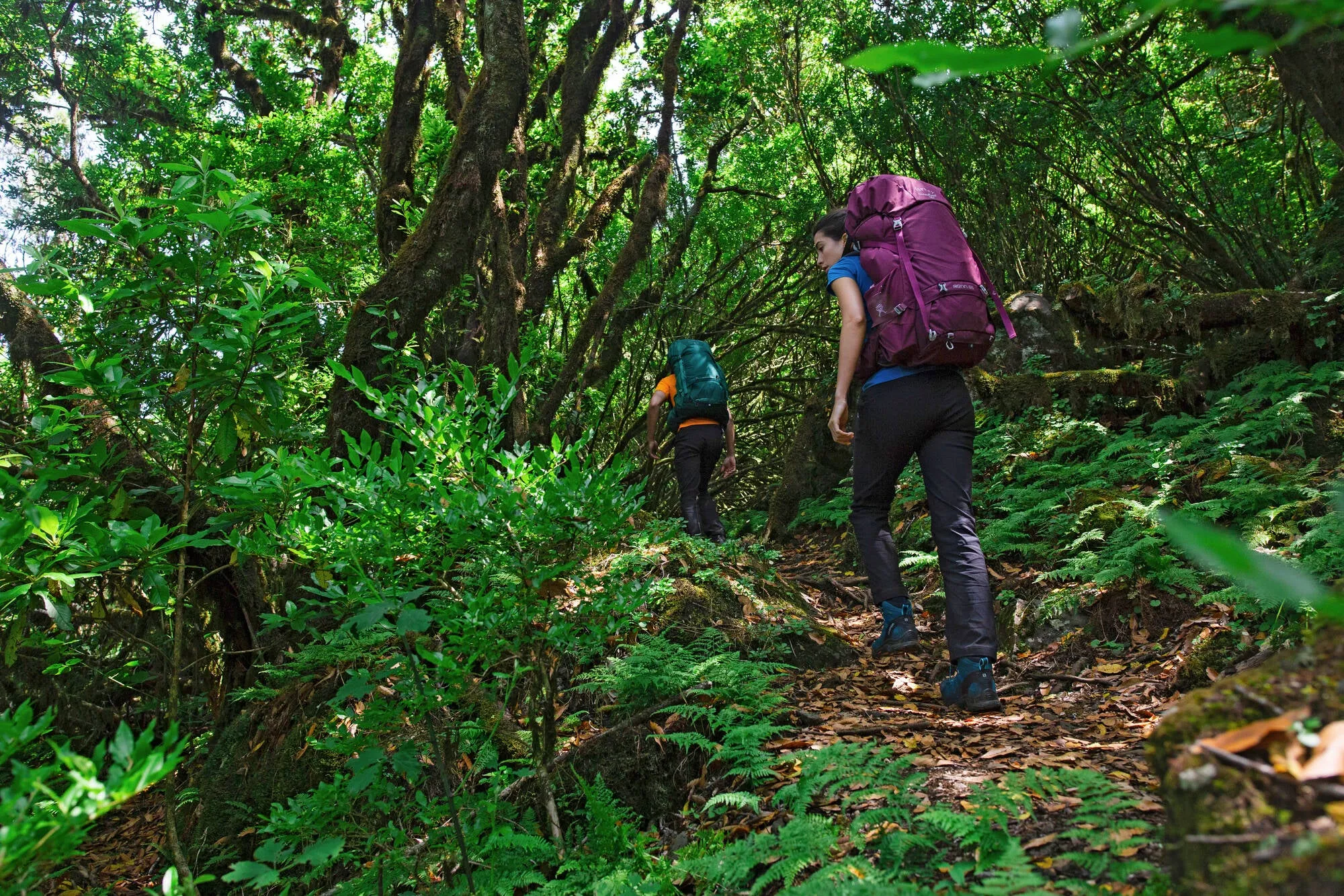 Osprey Renn 65L Womens Backpack Hire (Duke of Edinburgh Recommended)